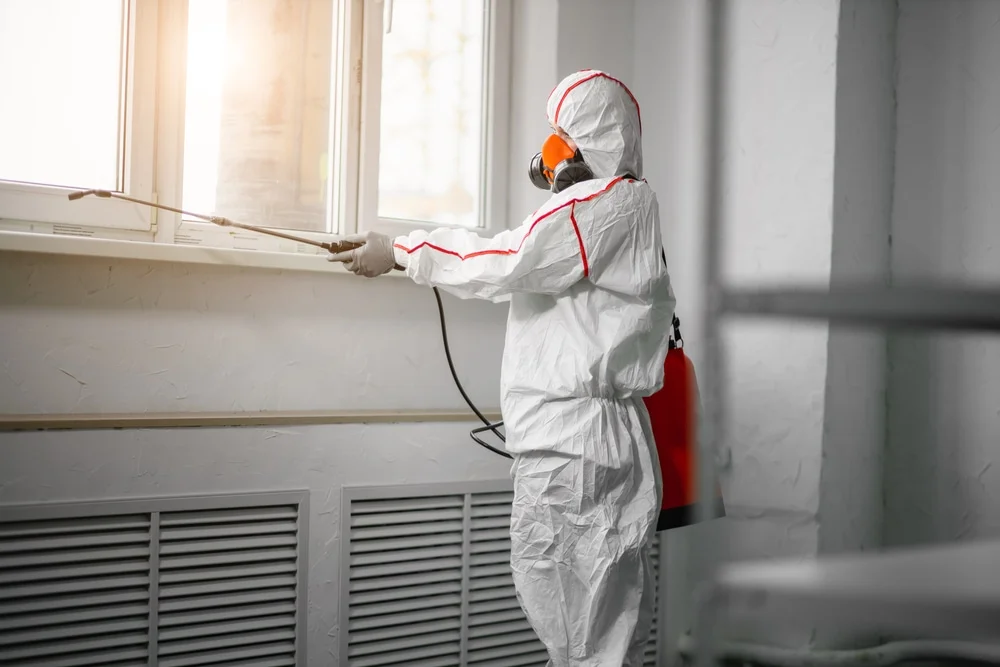 Professional mold remediation services in Woodstock, NH